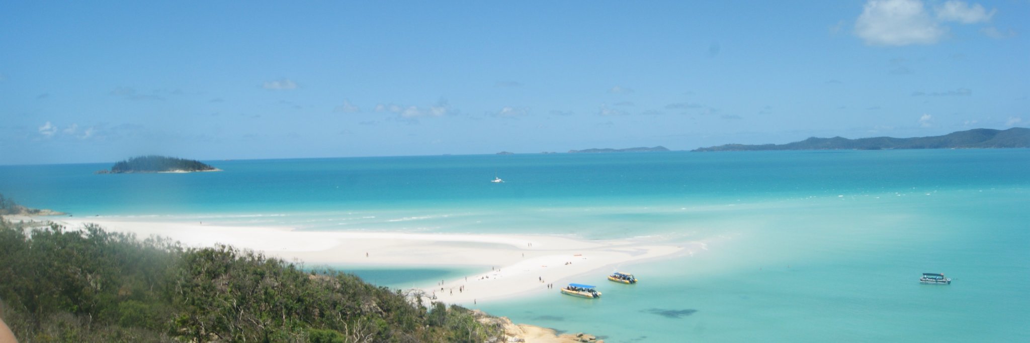 David Williams🏴󠁧󠁢󠁷󠁬󠁳󠁿🏴󠁧󠁢󠁷󠁬󠁳󠁿 banner