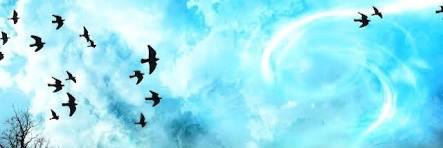 Arfhmina's profile banner image