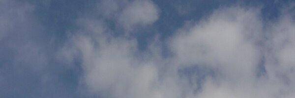 neige_n Profile Banner