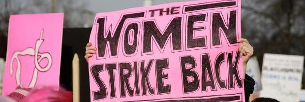 laurabrevitz's profile banner image