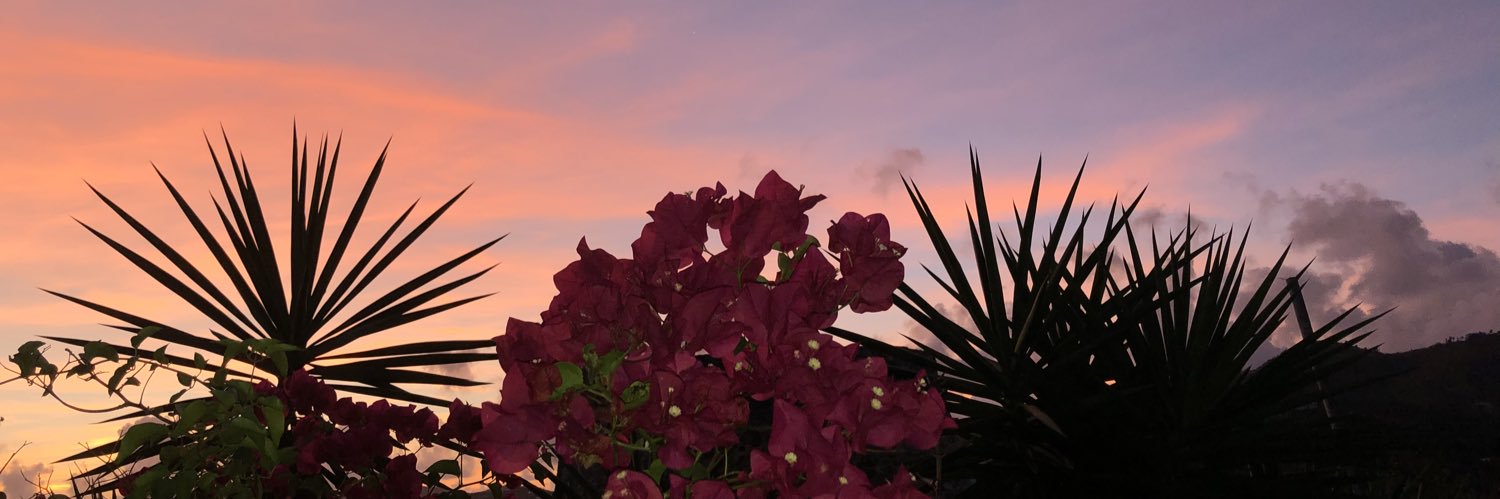 mackenzie_gross's profile banner image
