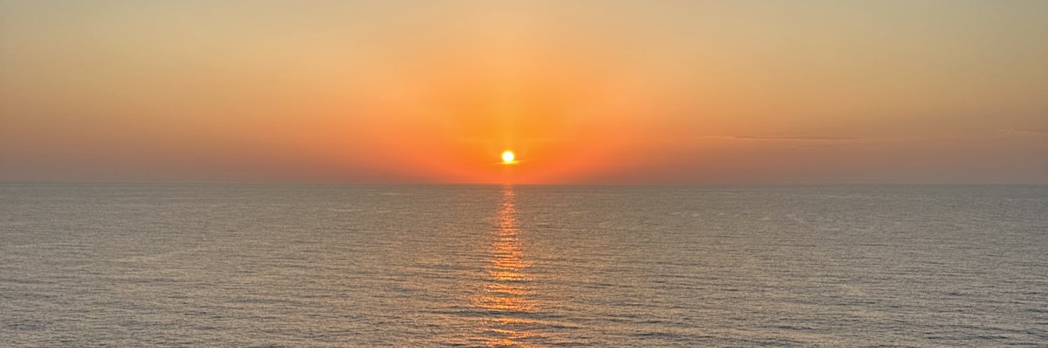 Mayriosorta's profile banner image