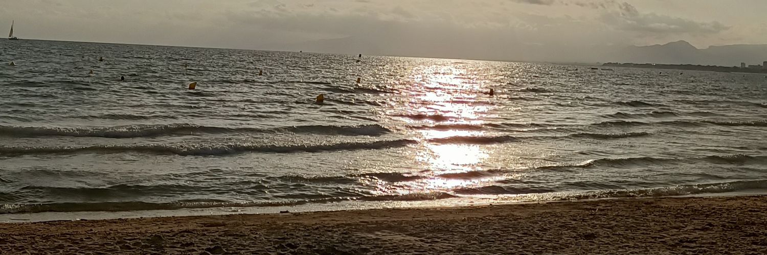 SN_1986's profile banner image