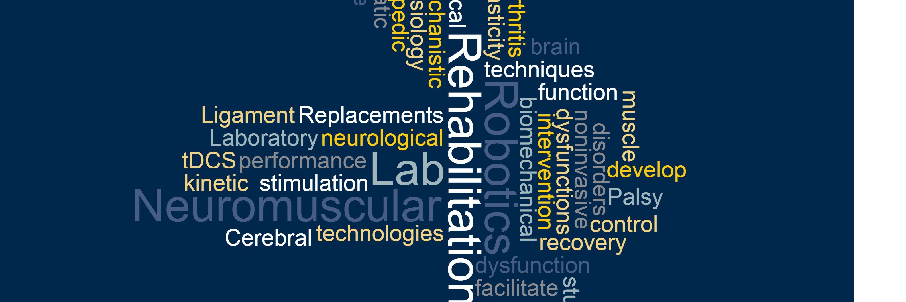 NeuRRo Lab banner