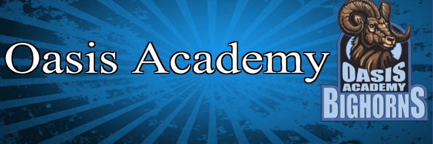 Oasis Academy banner