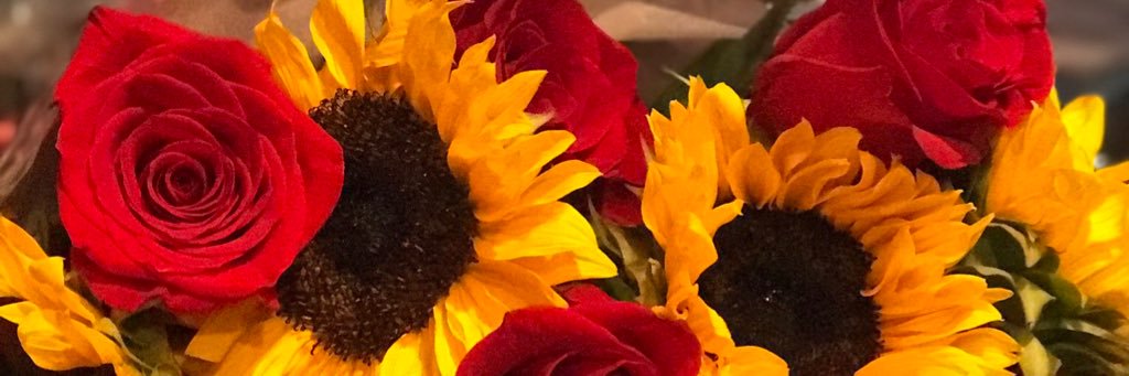 ashleefenn's profile banner image
