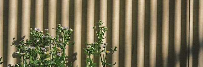 J #RENUNCIAKAST banner