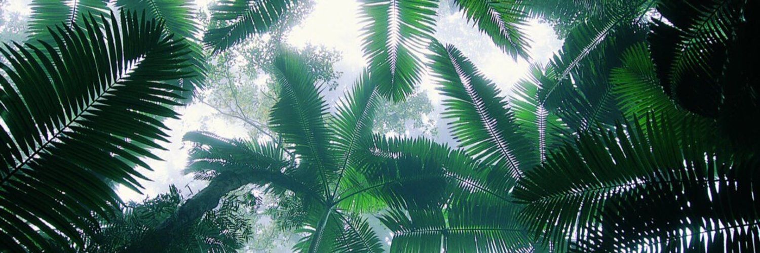__I0MA's profile banner image