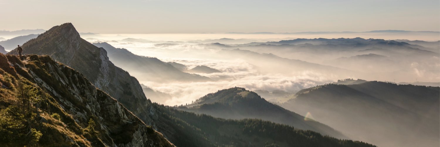 loiserman's profile banner image