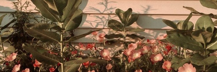 buboretta's profile banner image