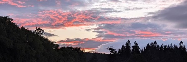 approx21words Profile Banner