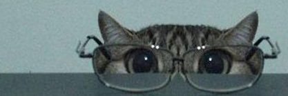 rossneir's profile banner image
