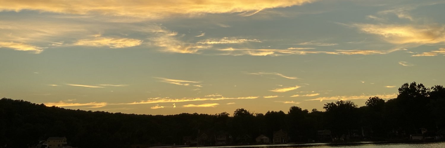 halmshannon's profile banner image