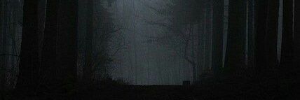 Piwe_H's profile banner image