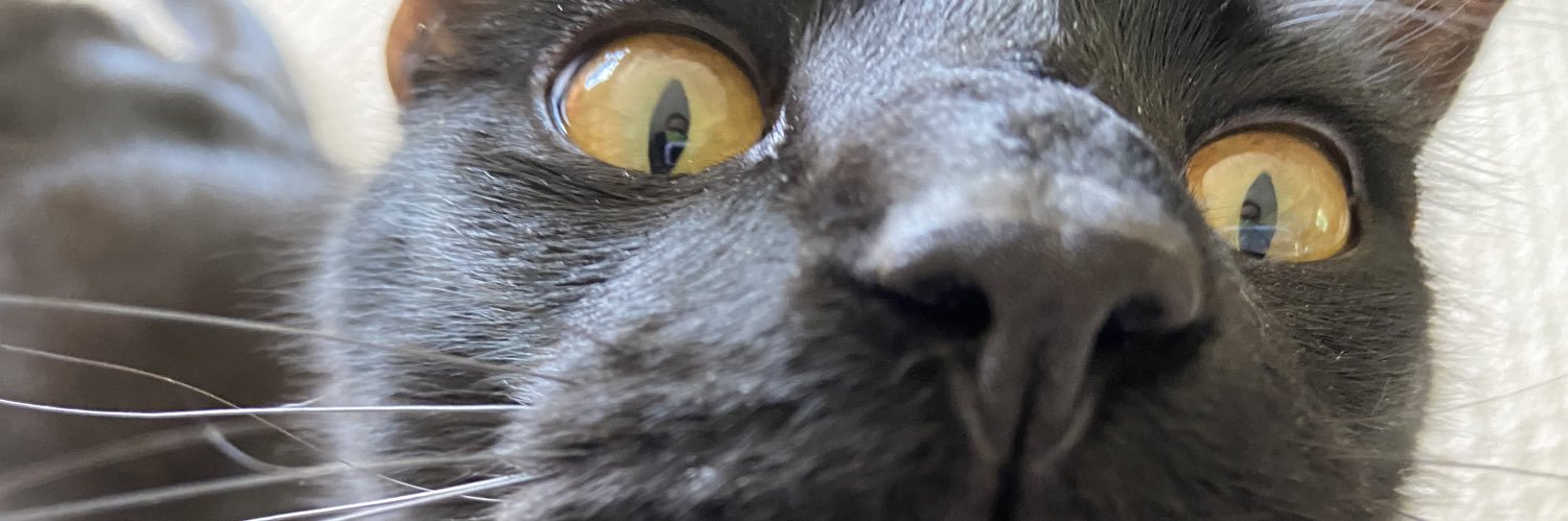 khaloser's profile banner image