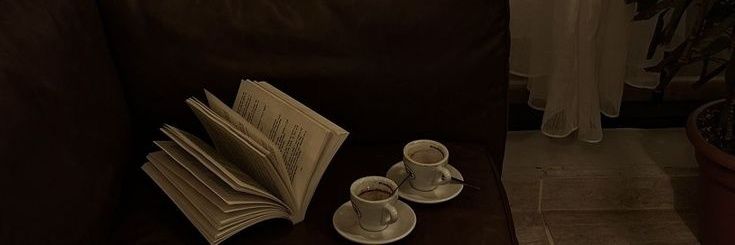 𝒍𝒆𝒗𝒊𝒏 banner