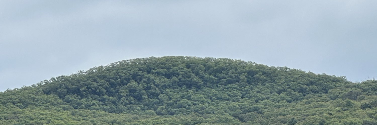 wananawan's profile banner image