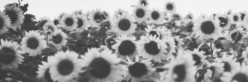 C_Goul's profile banner image