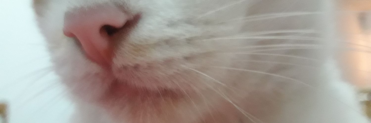 SOFÍA banner