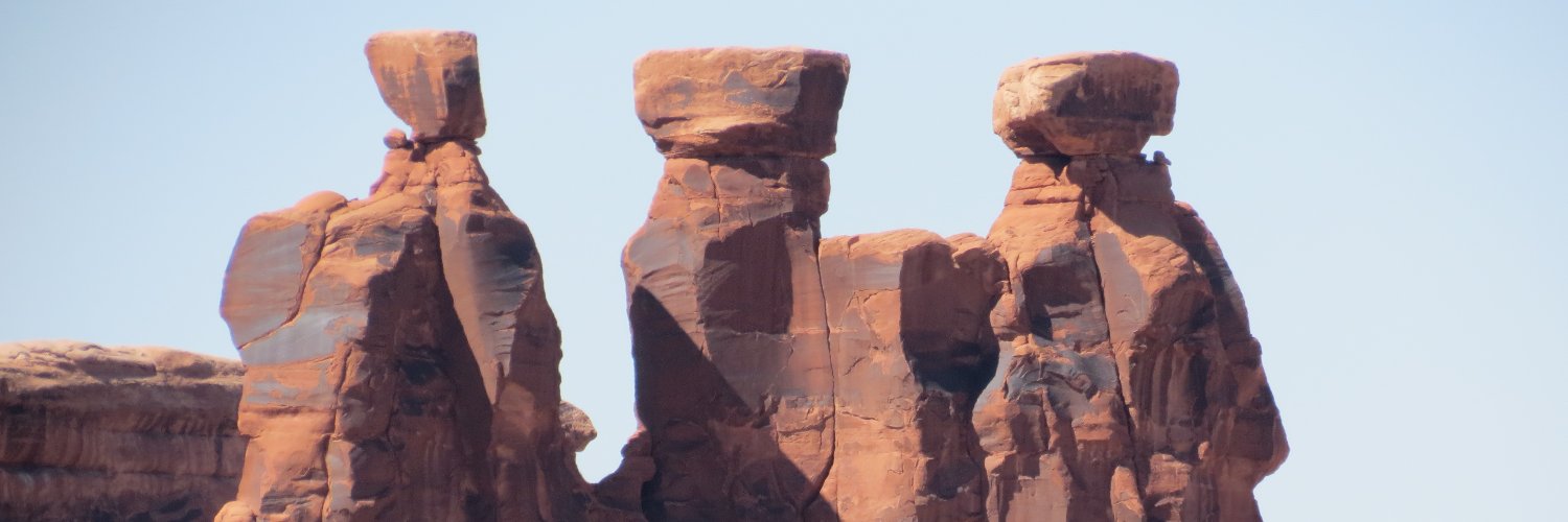 beemeander's profile banner image