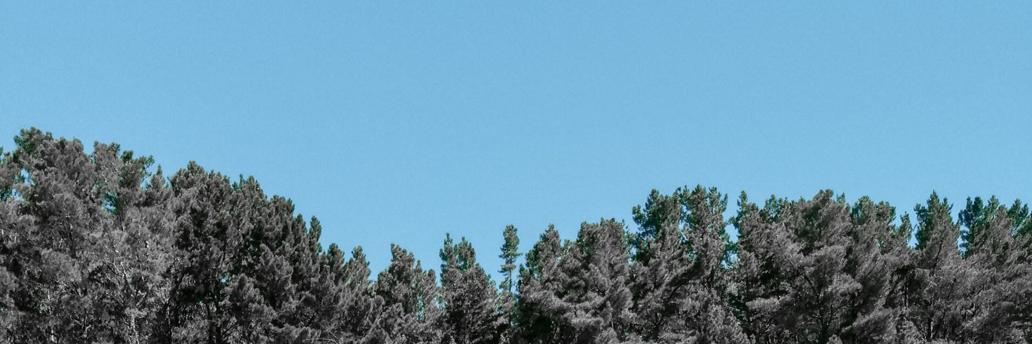 mpsati's profile banner image