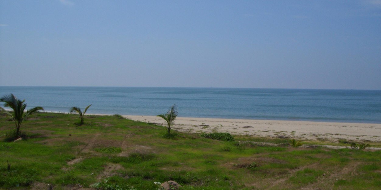 APS - PhD y Atleta banner