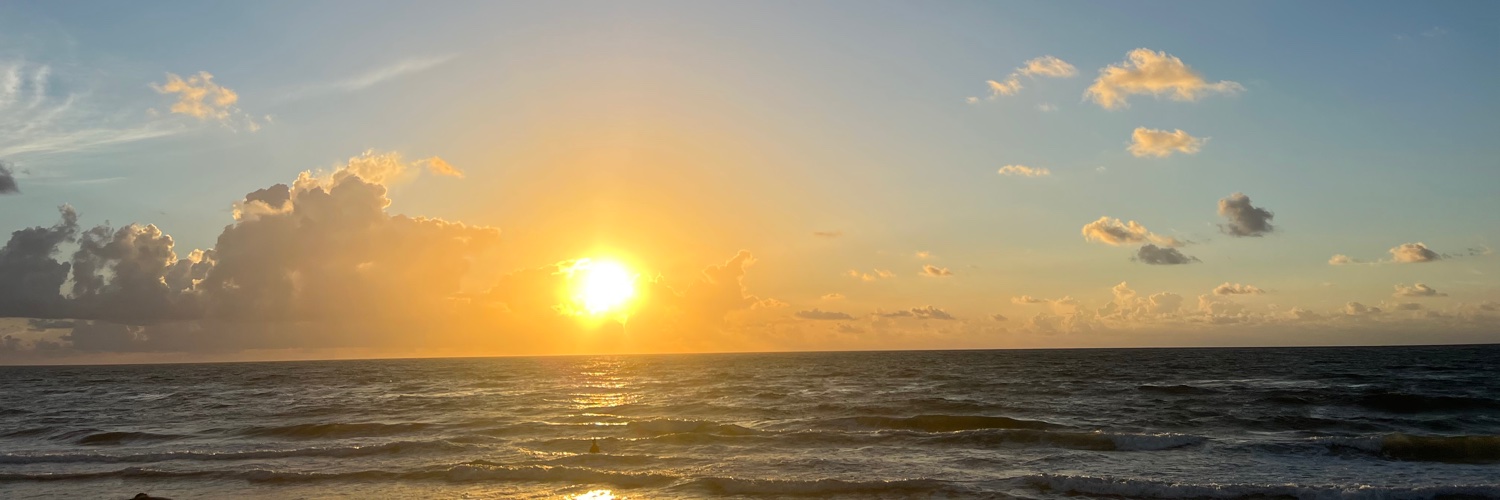 caroline_demott's profile banner image