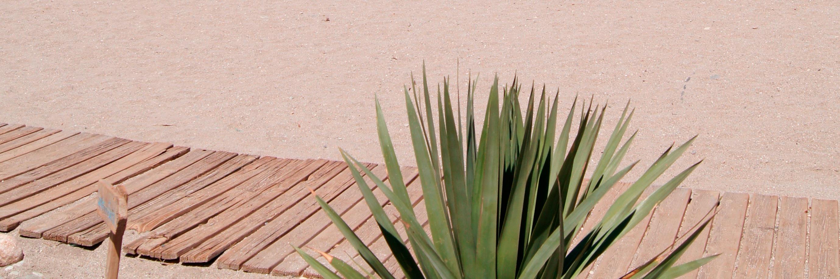 wrenknee's profile banner image