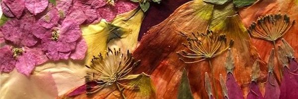 reggie_81 Profile Banner