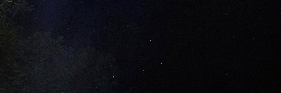 DafneLasmore's profile banner image