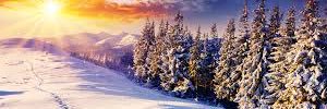 Kendra__Rogers's profile banner image