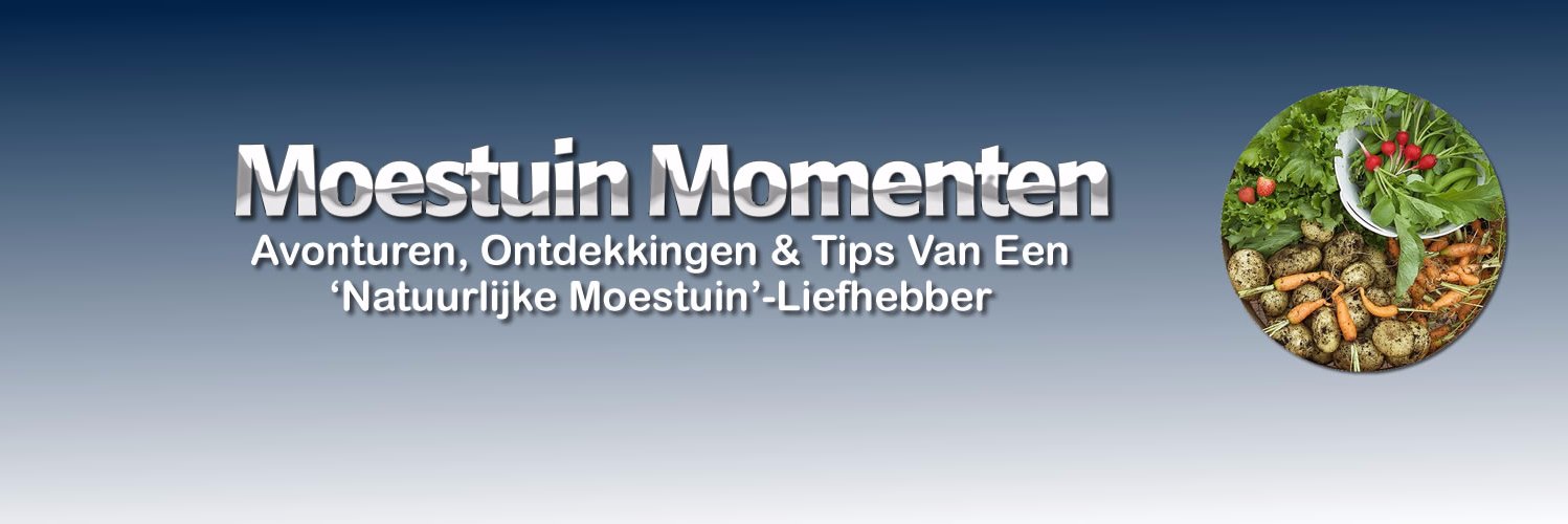 MoestuinMoments's profile banner image