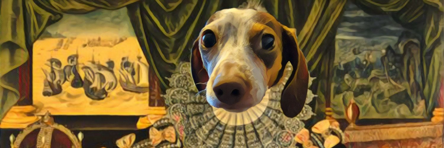 praefuro's profile banner image