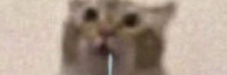 lilkatt76's profile banner image