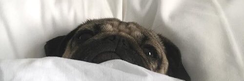ollyftbrad's profile banner image