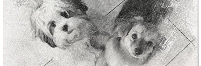 La Ceci banner
