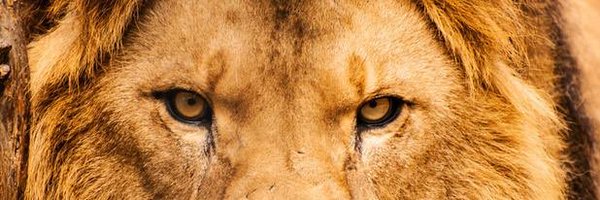 chaselloyd_ Profile Banner
