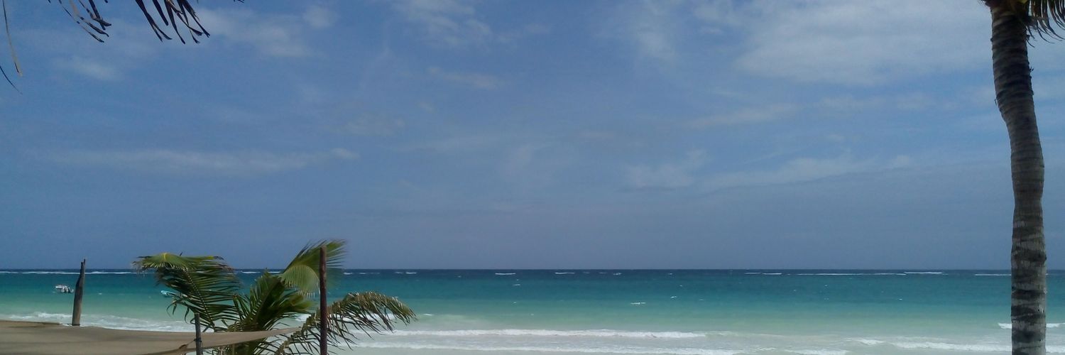 hombre de alto valor banner