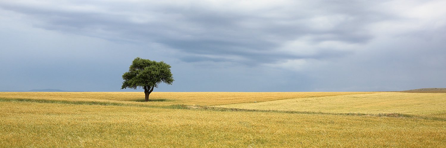 gokcentunc's profile banner image