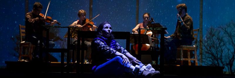 The American Opera Project banner