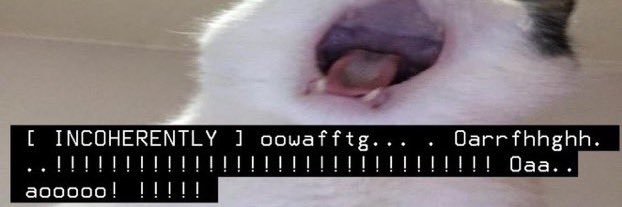 madelinemismash's profile banner image