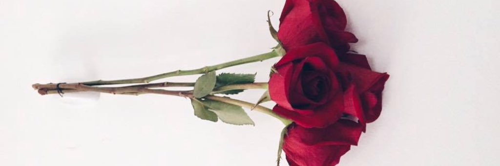 JBfavorite_fans's profile banner image