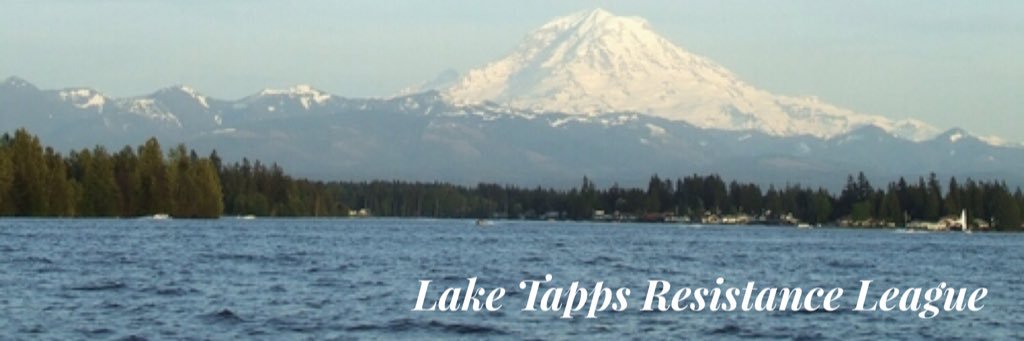 LT Resistance League banner