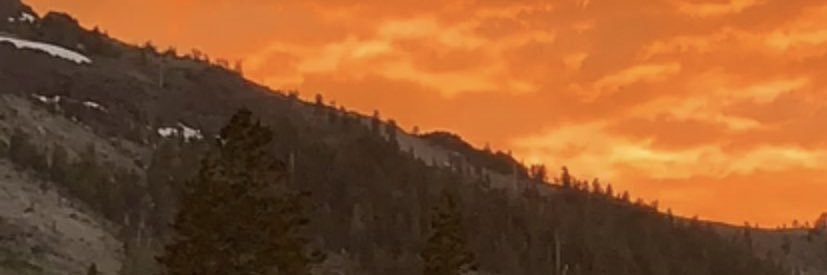 pliddy82's profile banner image