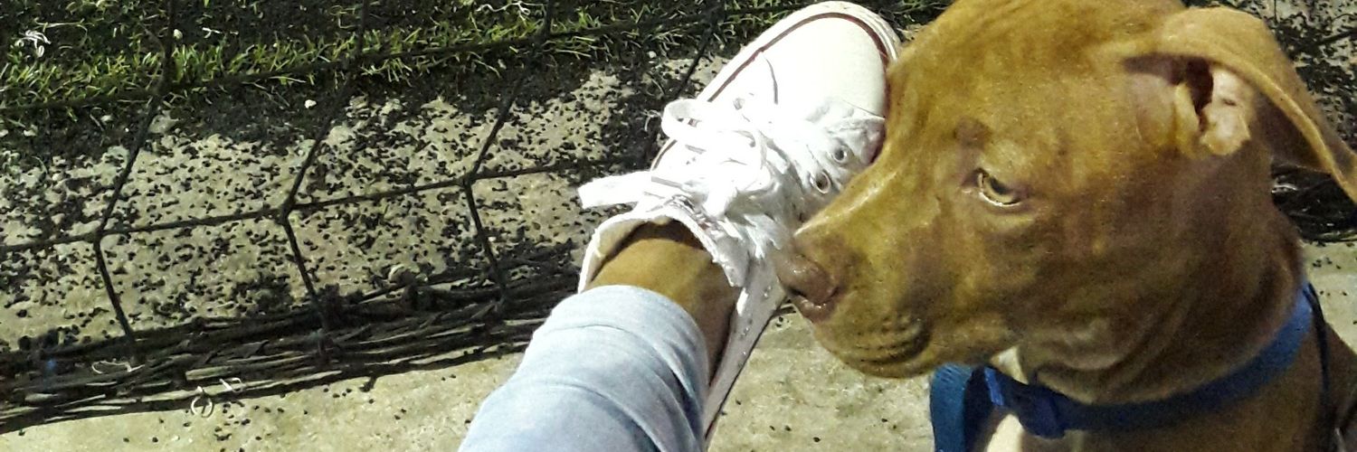 Mar_l3_'s profile banner image