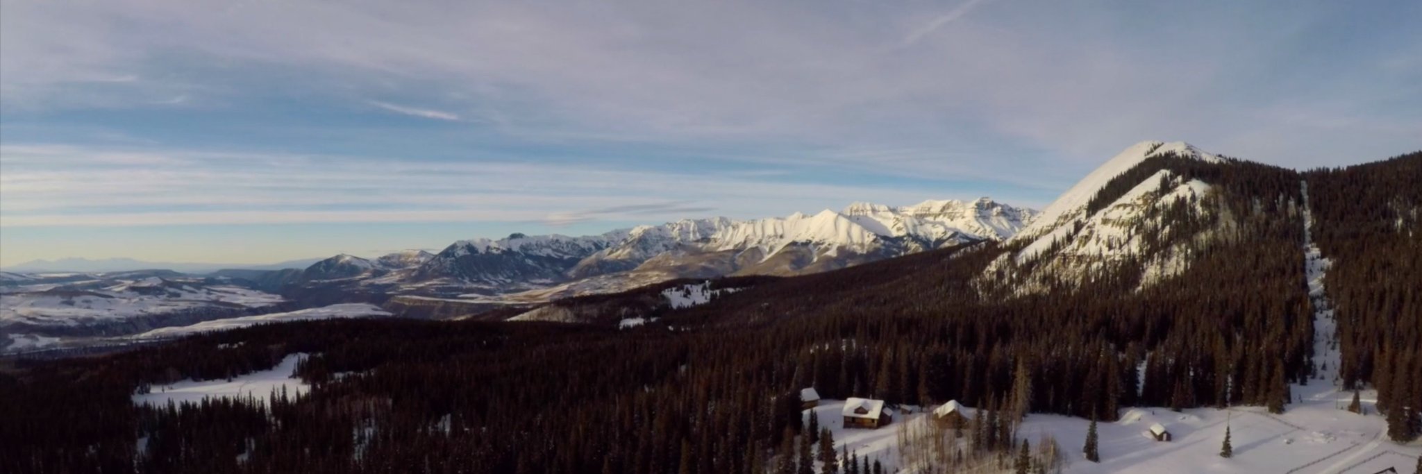 Michael Dillon banner