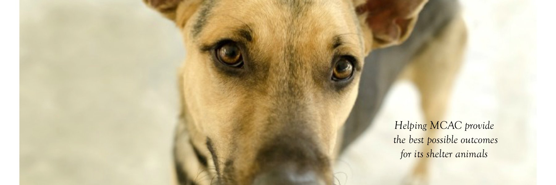 AARM_org's profile banner image