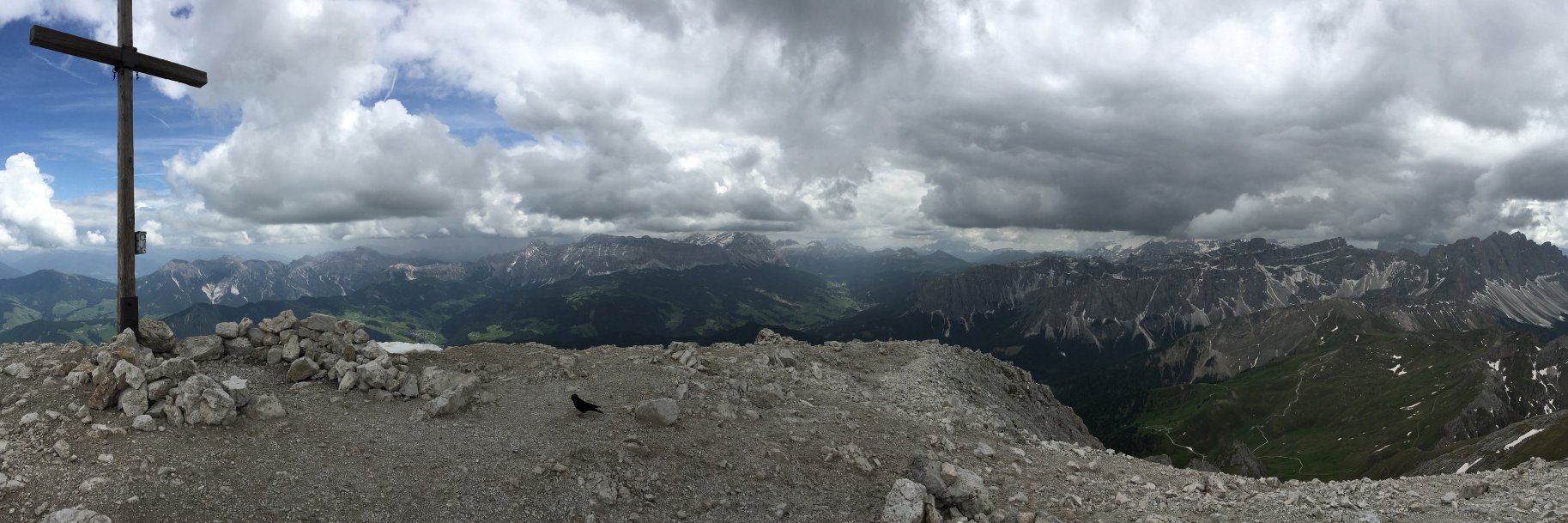 Martin Halusa banner