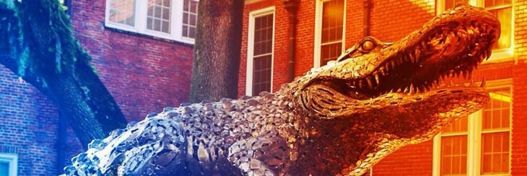 GatorsGtCS's profile banner image