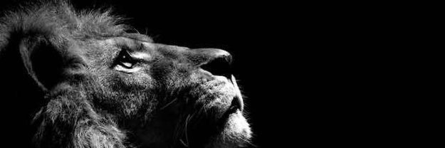 _aram_b's profile banner image
